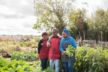 Family picking vegetables from their small urban garden and enjoying moments together