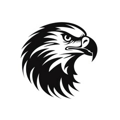Fototapeta premium Eagle nature bird logo.