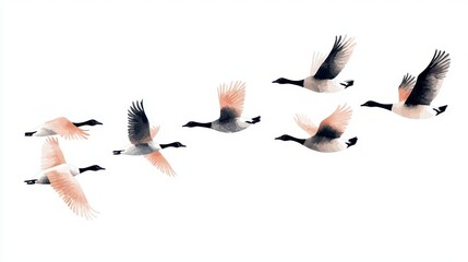 Obraz premium A flock of geese flying in formation, realistic digital painting, cool tones, isolated on white background