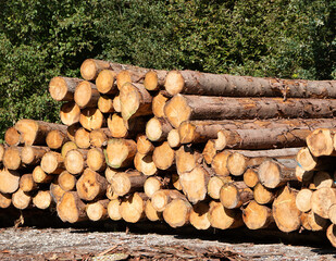 stack of wood