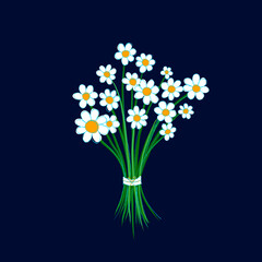 Bunch of daisies on blue background