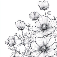 A Coreopsis, line pattern, black and white artwork style. Coloring book, zoom out, isolated on solid white background