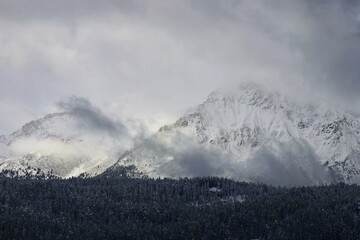 Obraz premium landscape with snow
