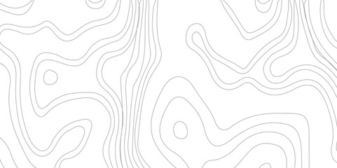 Abstract Topographic Contour Line Pattern in Black and White, 