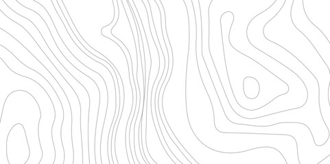 Abstract Topographic Contour Line Pattern in Black and White, 