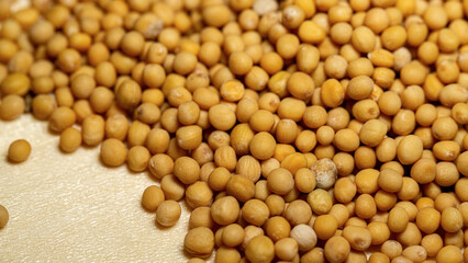 white mustard seeds, macro photo