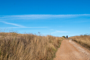 Obraz premium View of the stage of the Camino de Santiago from Burgos to Hornillos del Camino through the Cerealera Plateau