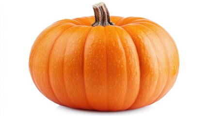 Obraz premium Pumpkin isolated on white background with clipping path and full depth of field