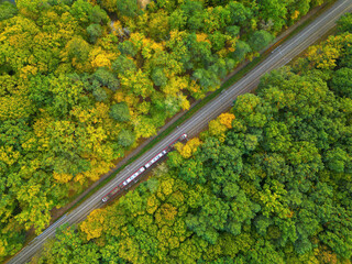 Aerial top view of a commuter train traveling through an autumn forest in the morning; travel by electric train, public transport.