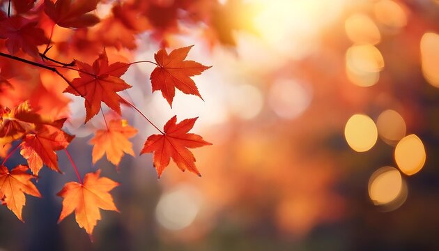 A vibrant cluster of red and yellow maple leaves illuminated by soft autumn light in a blurred background. Generative AI