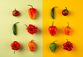 Colorful pepper on green background