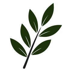 Minimalist Olive Leaf Silhouette Vector Illustration