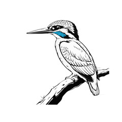 Kingfisher vector art design