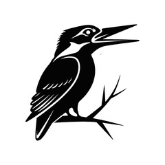 Kingfisher vector art design