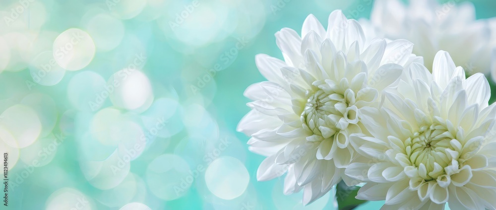 Poster An arrangement of pink and white flowers against a backdrop of pink and blue, with a separate bouquet of flowers in pink and white