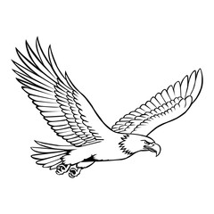 Eagle vector art design