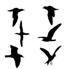 Bird vector icon sheet design