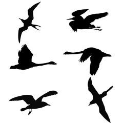 Bird vector icon sheet design