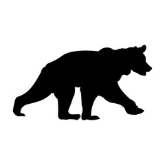 Bear vector art design