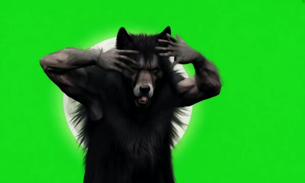 A character transforming into a werewolf under a full moon, bones cracking and fur growing, set on a green screen background