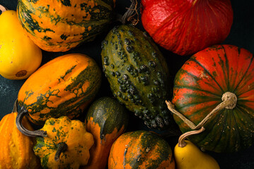 Various decorative pumpkin on green background