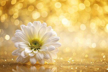 Golden and yellow flowery background with a white flower in the foreground
