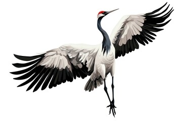 Fototapeta premium Kung fu crane animal bird white background.