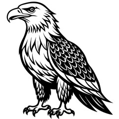 Obraz premium eagle on a white background