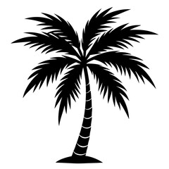 Fototapeta premium silhouette of trees