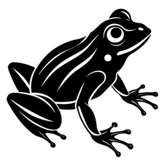 frog on a white background