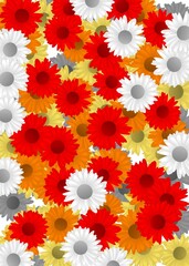 red and white flowers