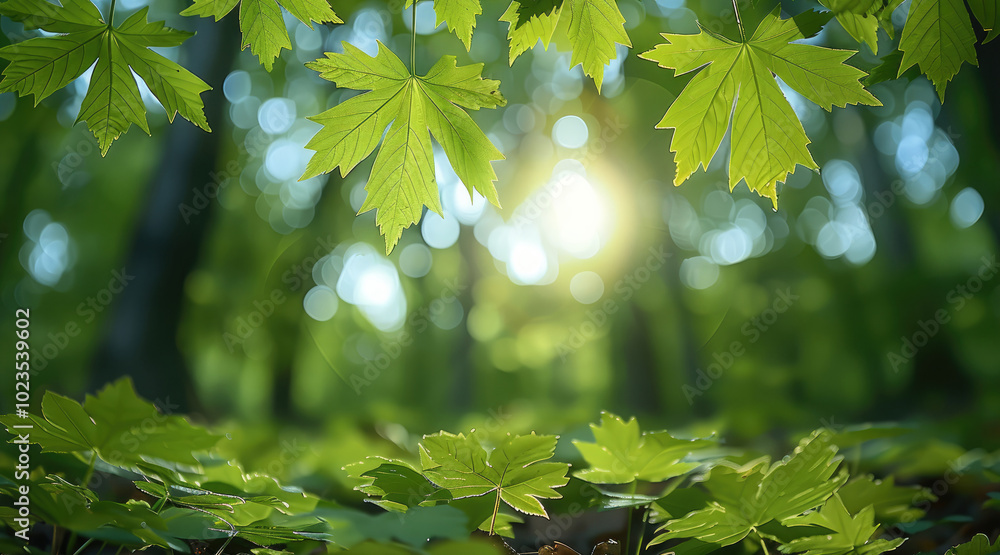 Poster green forest background with leaves.