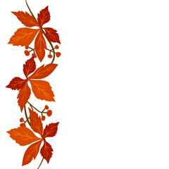 Vector - garland of virginia creeper with berries. Watercolor illustration.