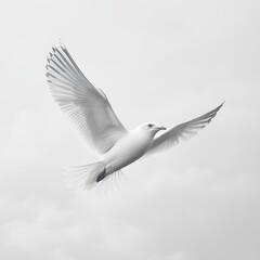 A bird in flight paired with a cloud-filled sky, where the wings and clouds gently fade into the white background, enhancing the sense of openness and freedom. AR: 16:9 to give a wide, cinematic 