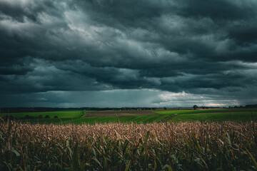 Dunkle Regenwolken