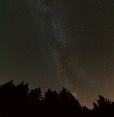 sky with stars - milky way over trees