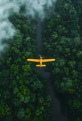 airplane above the forest 