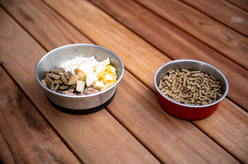 Comparison between a healthy home cooked meal for a dog and store bought dry kibble