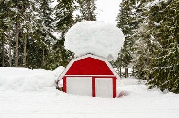 luxury house with big tree and nice landscape at winter in Vancouver, Canada