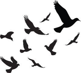 Elegant Bird’s flying in sky Silhouette Vectors Illustration