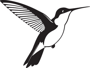 Elegant Hummingbird Flying Silhouette  Vector Design With White Background