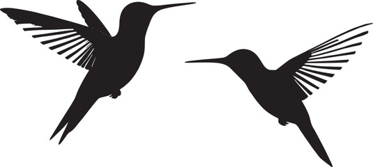 Hummingbird Silhouette Vectors With White Background