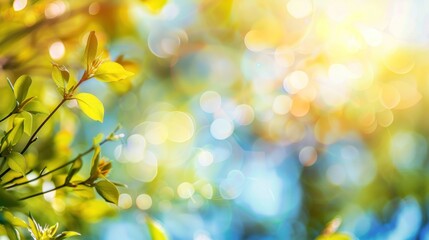 Obraz premium Bright green leaves under sunlight with bokeh lights in the background. Nature-inspired theme for spring and outdoor concepts.