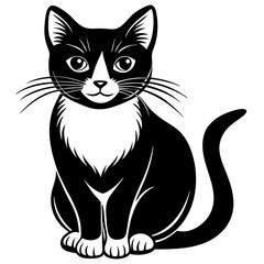 illustration of cat