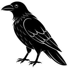raven on a white background