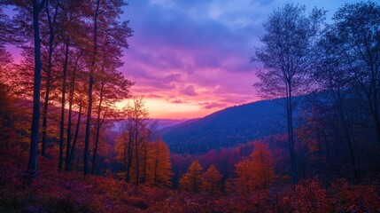 Obraz premium Twilight colors in an autumn forest with warm golden hour light and vibrant foliage under a transitioning sky