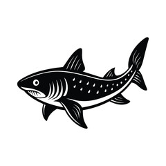 Dogfish silhouette on vector illustration with white background.