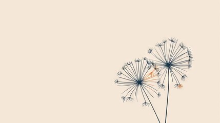 dandelion on light backdrop. Abstract line drawing of plants in pastel colors, minimalist style. Wallpaper with leaves and flowers. Background with copy space. Floral Art for Contemporary Spaces