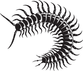 Centipede  vector silhouette