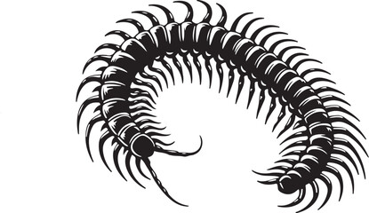 Centipede  vector silhouette